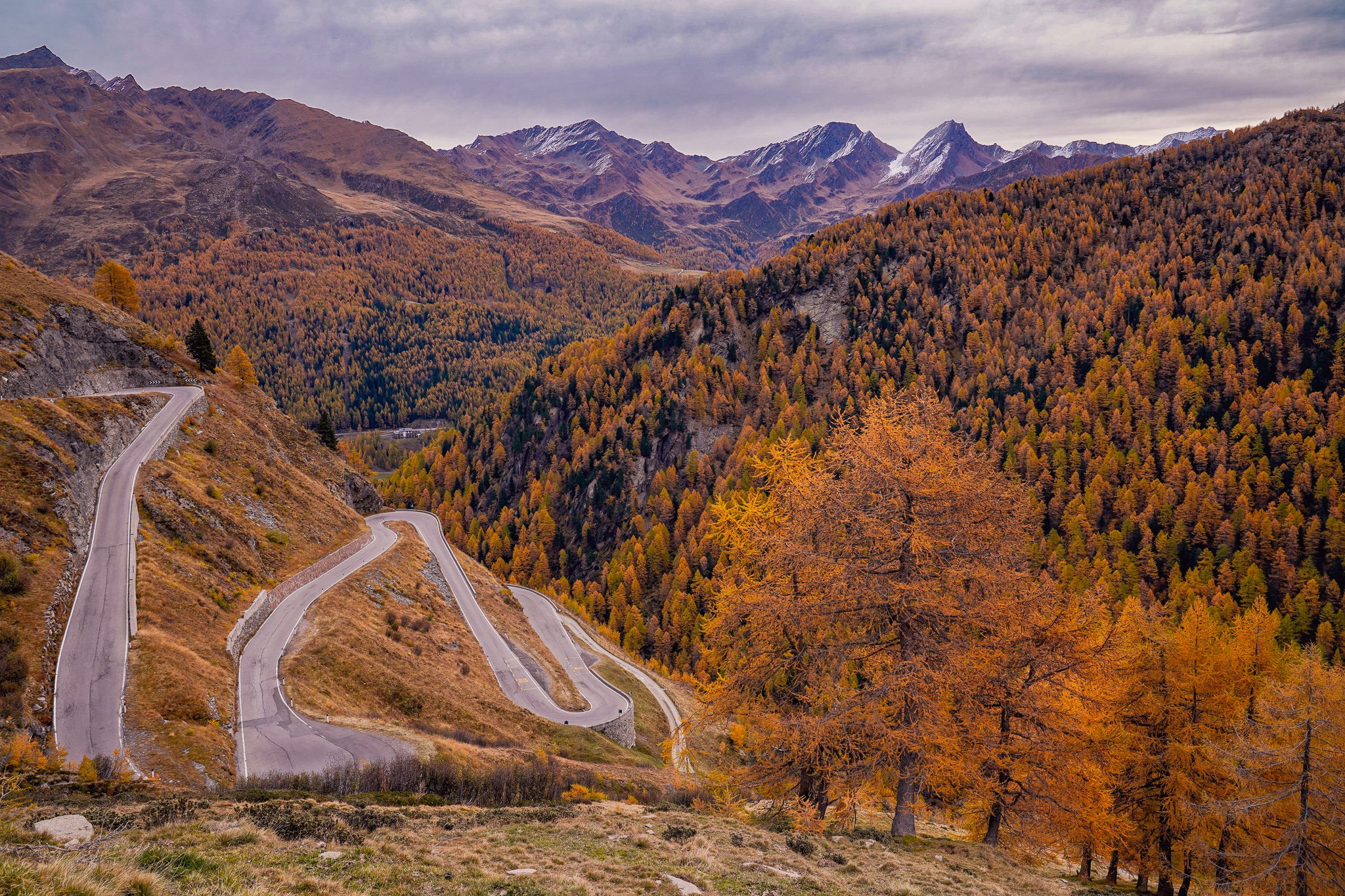 timmelsjoch-strasse-herbst-simone-peist-9088-2.jpg